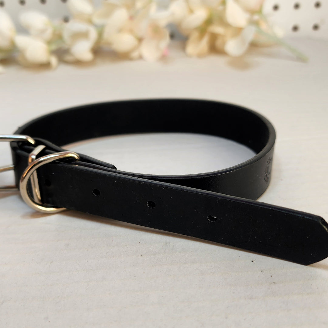 Dog Collar - Black