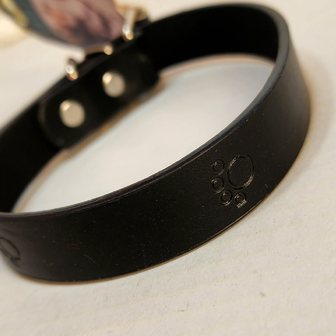 Dog Collar - Black
