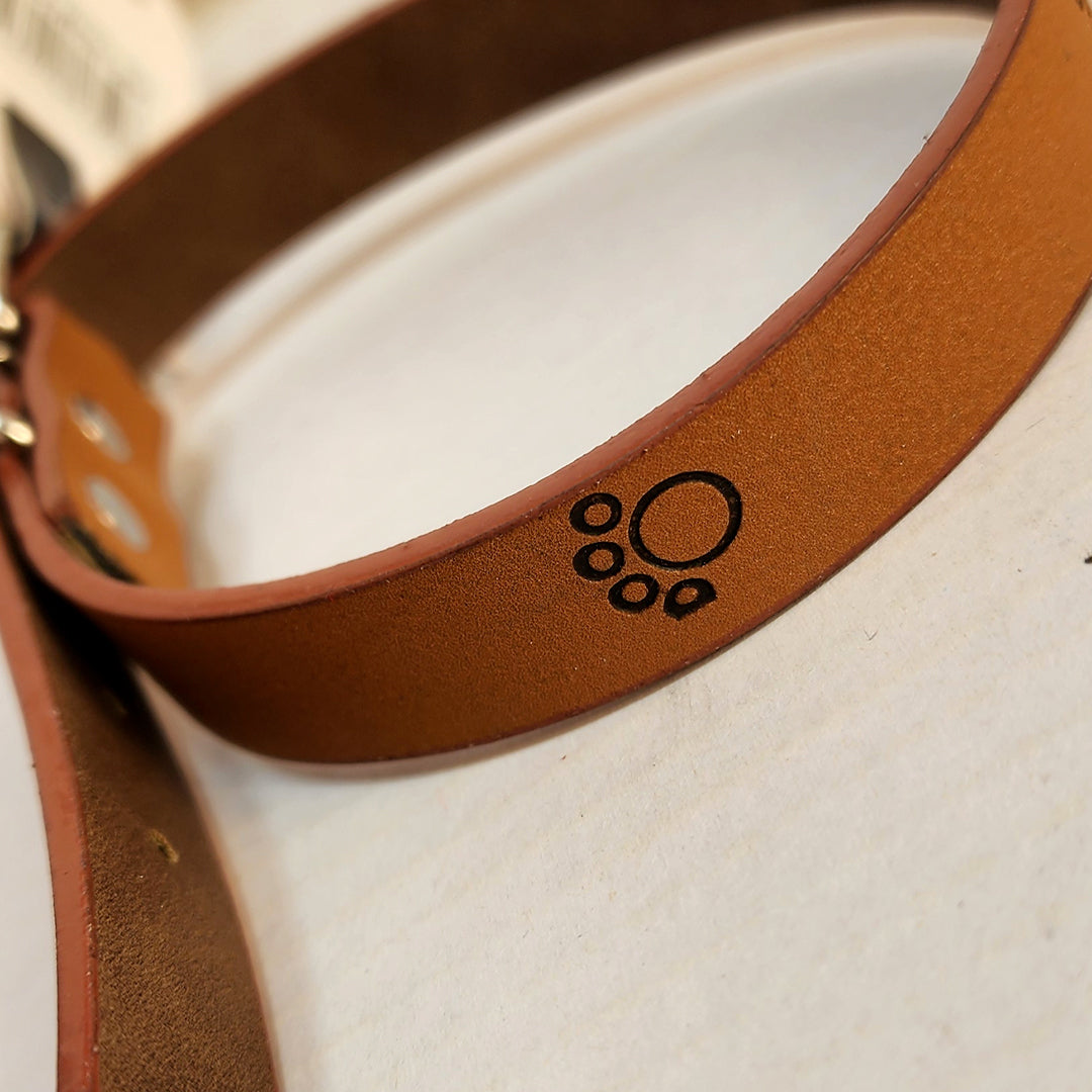 Dog Collar - Brown