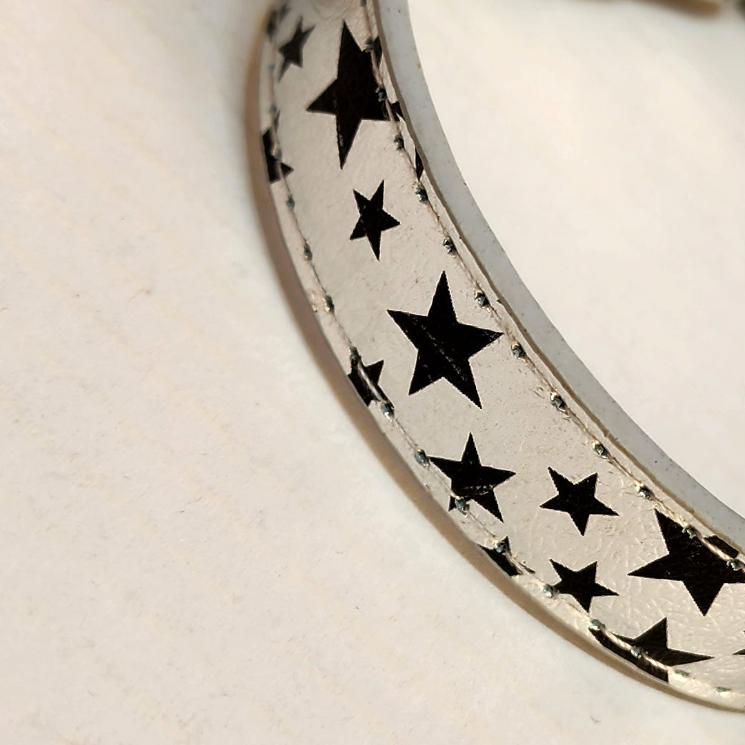 Dog Collar - Silver