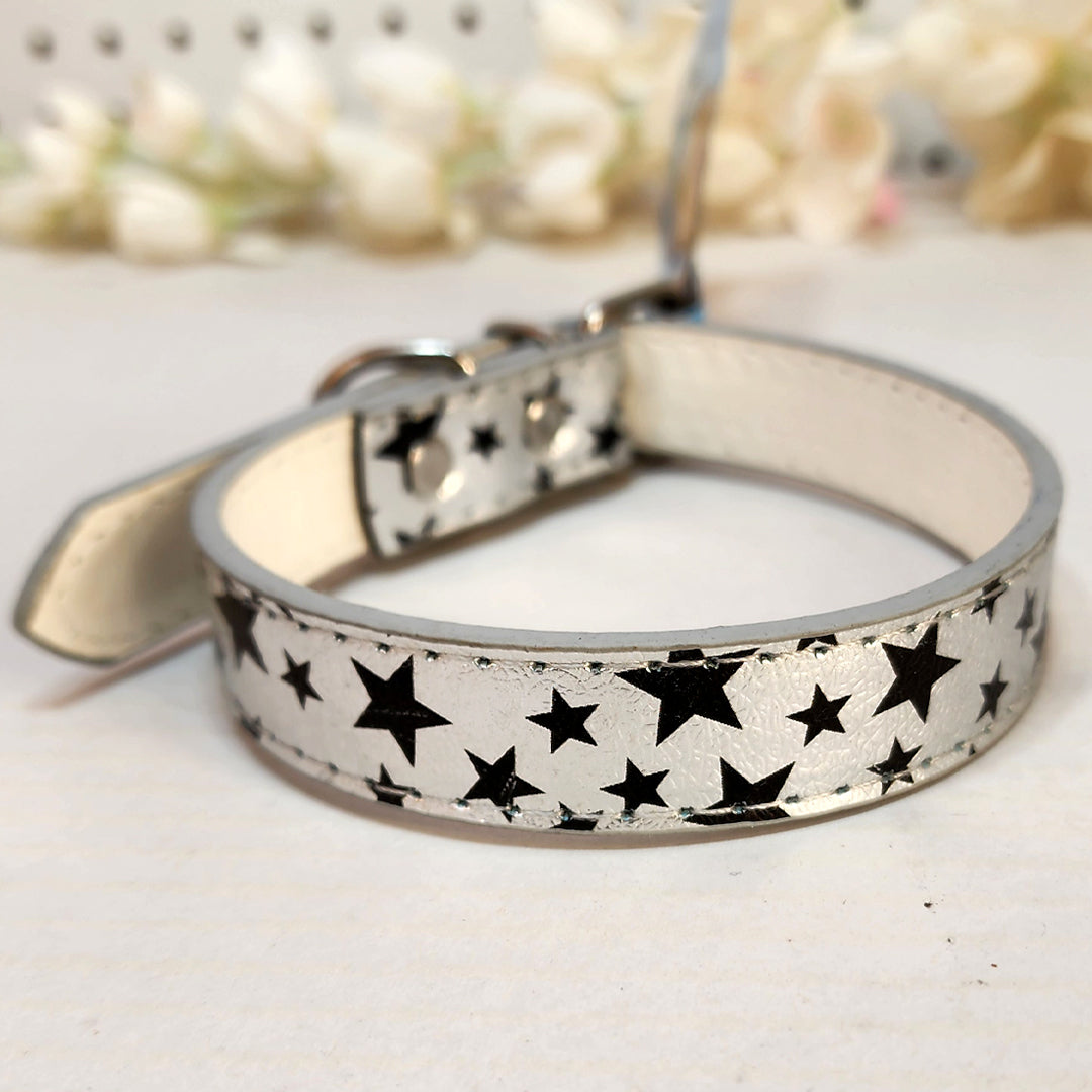 Dog Collar - Silver