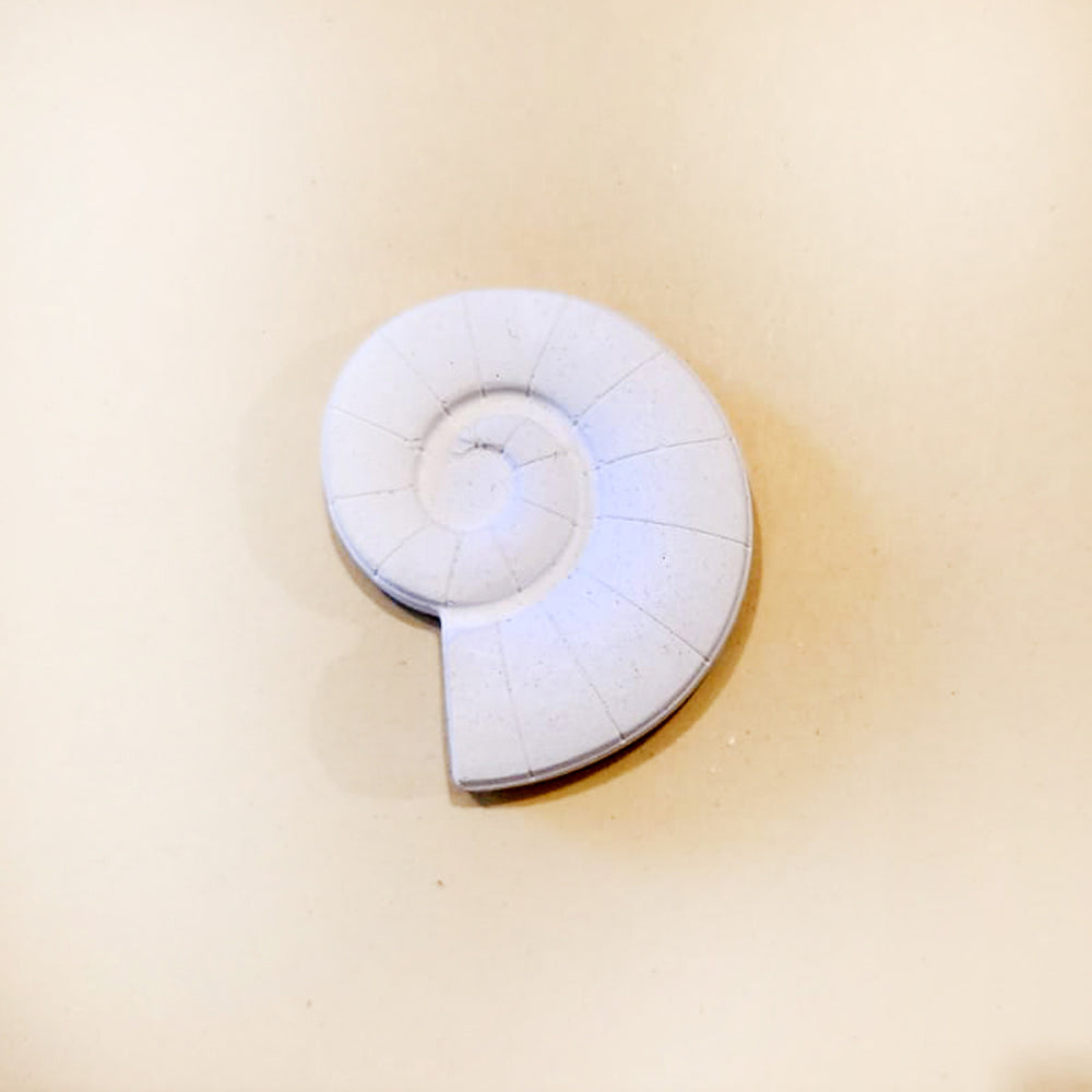 Shell 1