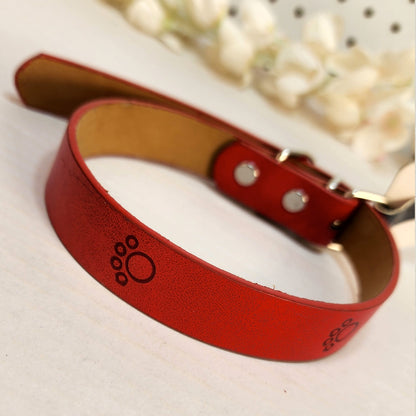 Dog Collar - Red