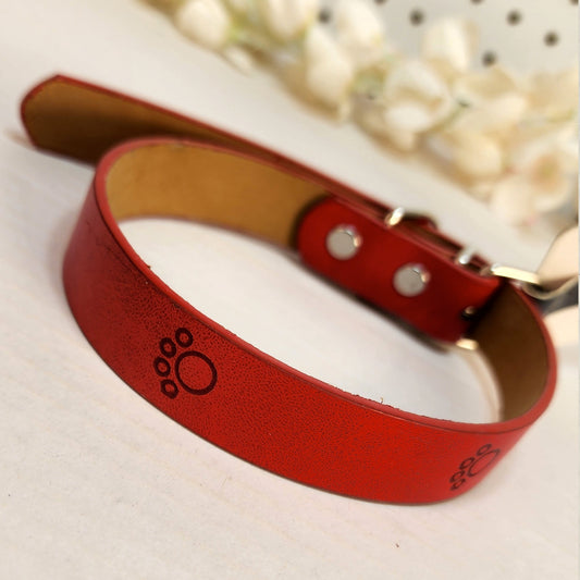 Dog Collar - Red
